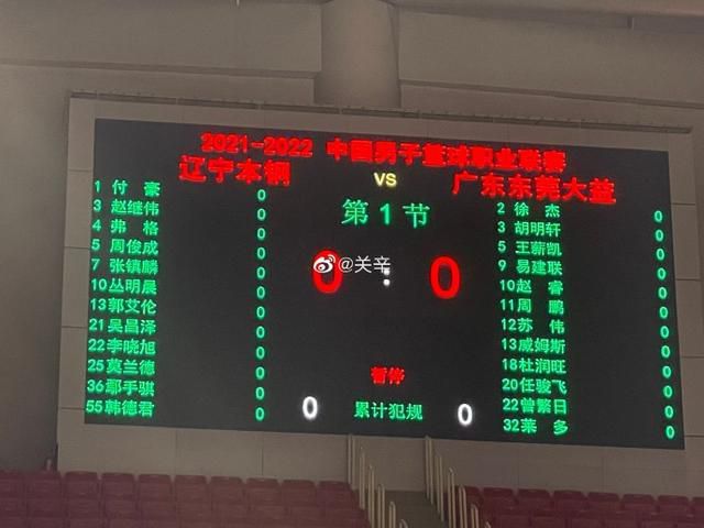 国产精品麻豆视频