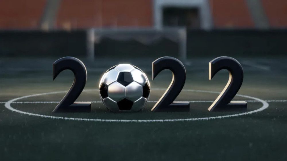 纯欧美一级毛片_免费