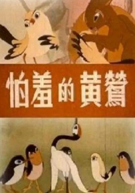 亚洲精品在线不卡