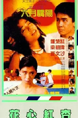 金泉家
