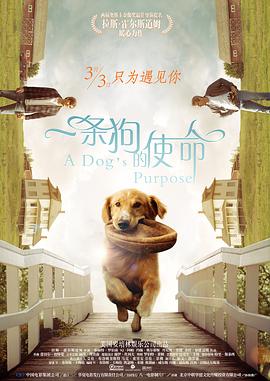 肉女心经