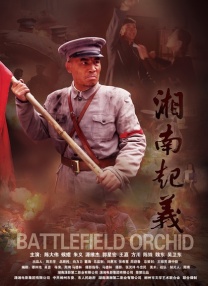 久久99精品久久久久久青青91