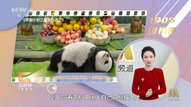 第九电影院午夜伦